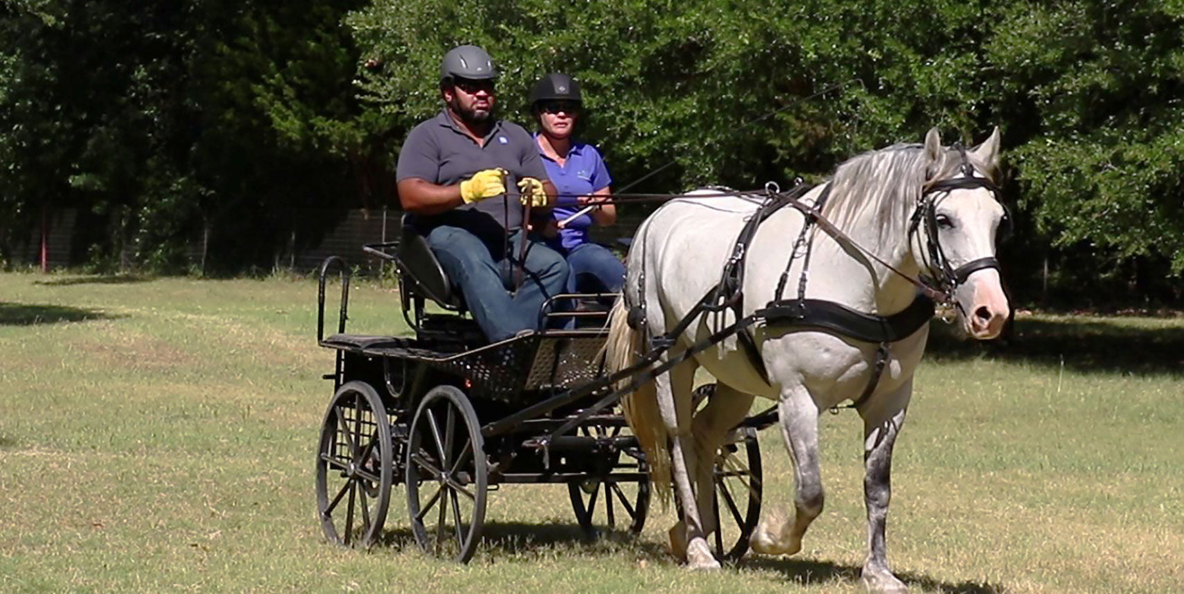 Guests going for a horse driven cart ride