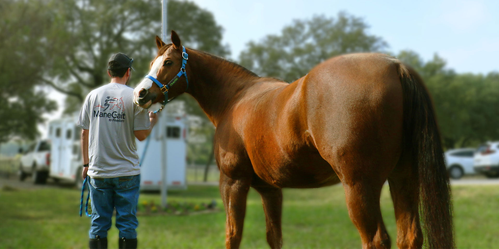 Manegait staff with therapy horse - desktop version