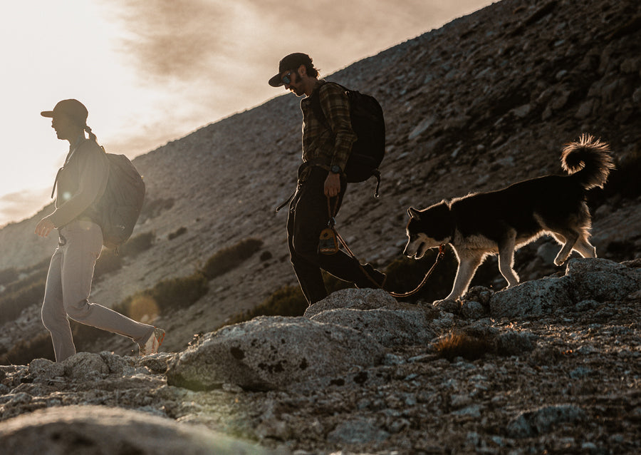 Hikers walking down rocky hill with dog.